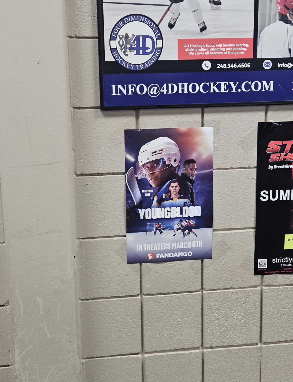 Buffalo Wild Wings Arena - Posters - 2